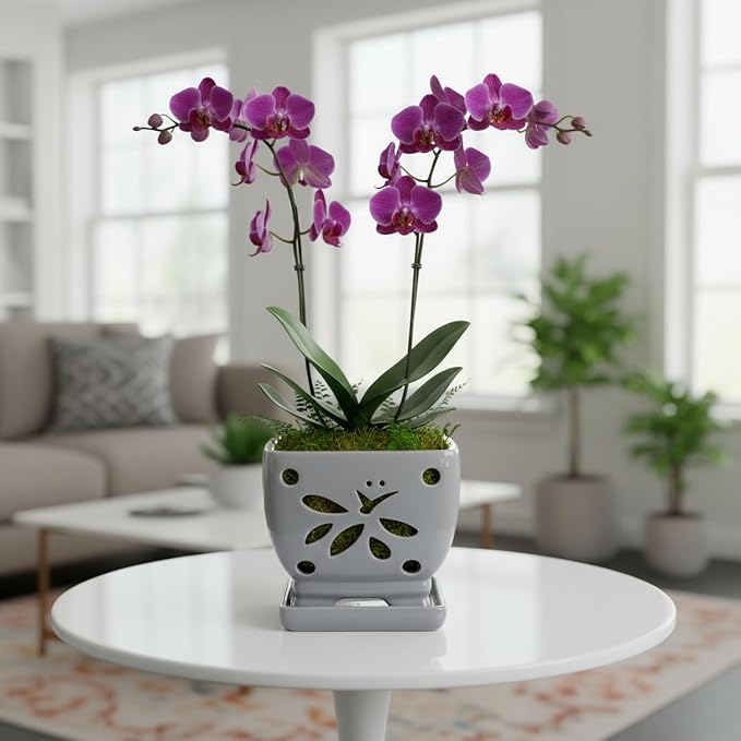 Orchid Pots with Holes Square Ceramic Orchid Planter Pots 5.5 inch (Gray)