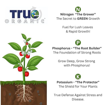 True Organic Soil Acidifier + Garden Lime + Prilled Sulfur Bundle - CDFA, OMRI Listed for Organic Gardening – Organic Fertilizer Set