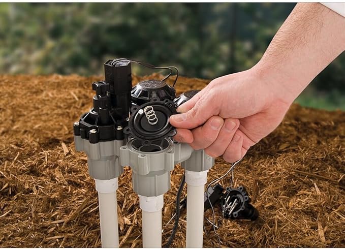 Rain Bird DASASVF100 Professional Grade Anti-Siphon Valve with Flow Control, 1" Threaded Female x Female (Pack of 5)