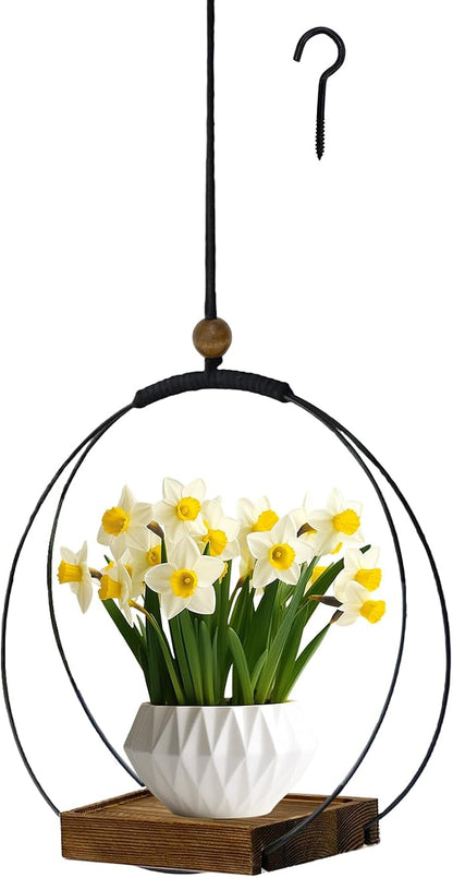 Hanging Planter for Indoor Plants, Black Plant Hanger Indoor with Sturdy Wood Base, Modern Boho Macrame Plant Hanger for 3-5.5 Inch Pot, Hanging Wall Ceiling Window Home Decor (Pots Not Included)