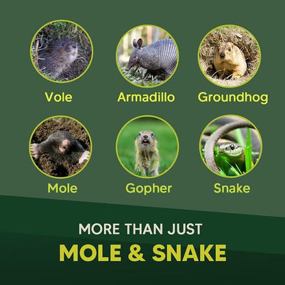 Mole & Snake Repellent, Gopher Repellent Outdoor, Vole & Groundhogs Repellant for Yard, Armadillo & Snake Deterrent for Lawn Pet Safe, Keep Snake Away for Garden/Garage, Safe to Use-10P