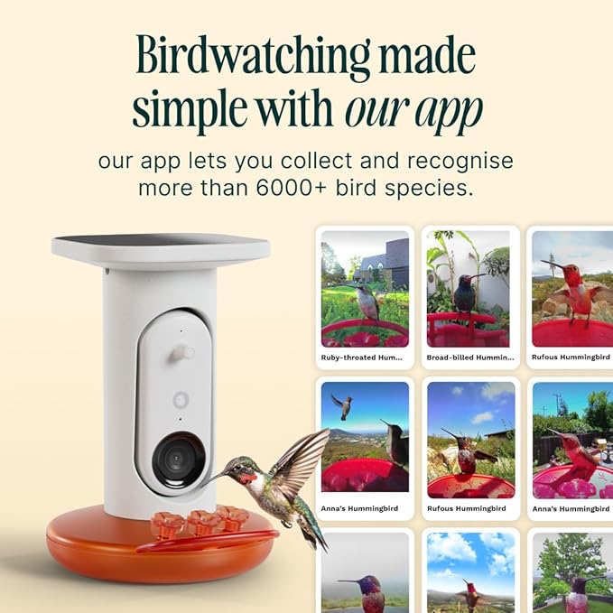 Birdbuddy Solar Hummingbird Feeder with Camera, AI Bird ID, 2K Video, Photo