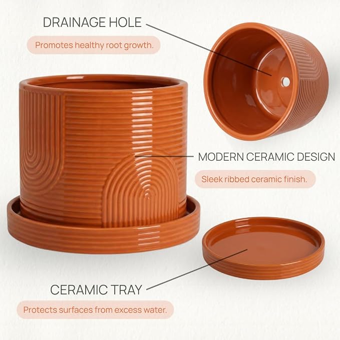 6 Inch Ceramic Plant Pot with Drainage Hole & Tray – Indoor Planter for Succulents, Herbs & Houseplants – Modern Ceramic Planter with Mesh Pad, Dibber & Widger – Terracotta