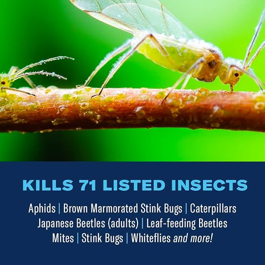 BioAdvanced Complete Brand Insect Killer for Soil and Turf I - 32 oz Bottle
