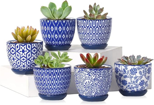 Selamica Ceramic 2.4 Inch Succulent Pots, Mini Succulent Planter Pot for Cactus Plant with Drainage Holes & Saucers, Home Decor, Set of 6, Vintage Blue