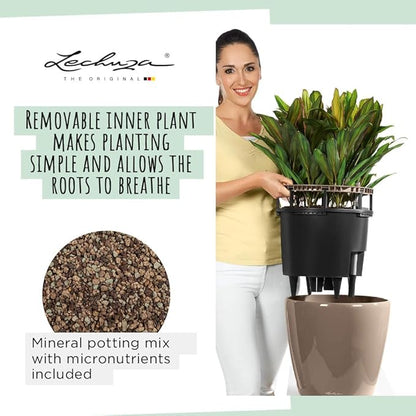Lechuza Classico LS 28 Charcoal Metallic, Self-Watering Round Planter, D11 H10.2 in