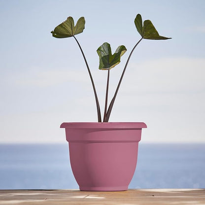 Bloem Ariana 16" Plastic Self-Watering Planter, Dusty Rose, 2-Pack | Self-watering disk at the bottom of each pot that acts as a water wick and reservoir for optimal plant health