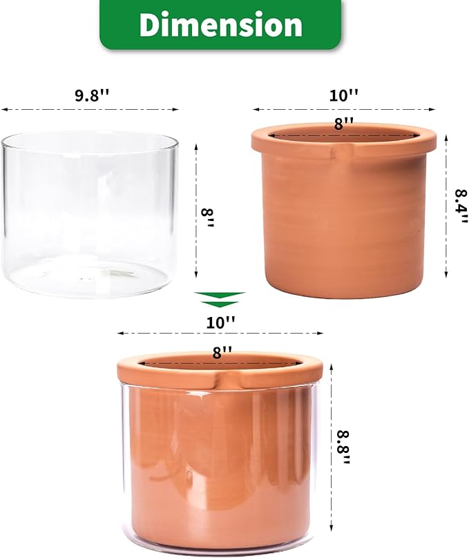 Phoenix Vine 8 Inch Self Watering Planter, Design Terracotta Pot for Plants, Indoor Cylinder Terra Cotta Pot with Glass Vase, Set of 1, 51-A-H-1