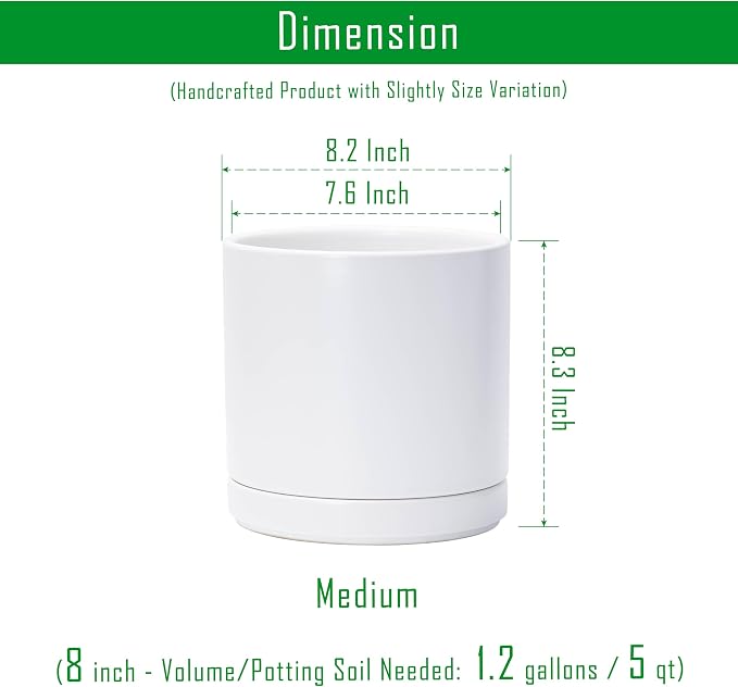 D'vine Dev 8.2 Inch Ceramic Planter Pot with Drainage Hole and Saucer, Indoor Cylinder Round Planter Pot, White, 94-O-D-1