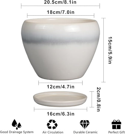 Ceramicfor Ceramic Planter - 8 Inch Plant Pot with Drainage Hole and Saucer, Glaze Round Flower Pot for Home Garden Patio Office, White