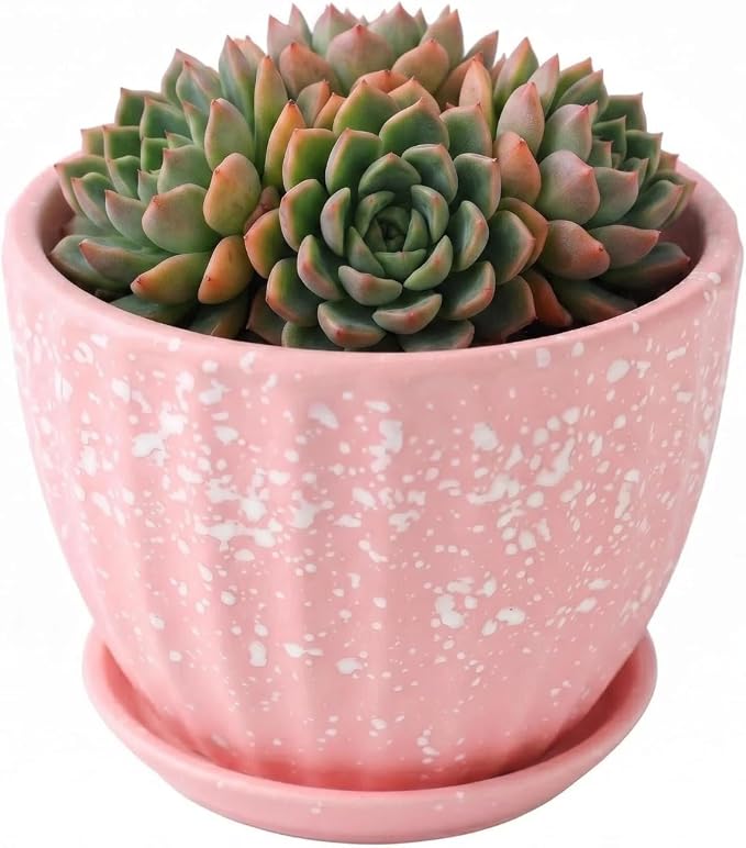 4 Inch Ceramic Succulent Planter Pots with Drainage Holes and Saucers for Indoor Succulent, Bonsai, Cactus, Small Flower (Red)