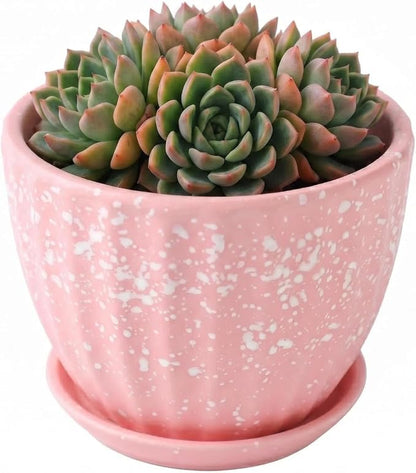 4 Inch Ceramic Succulent Planter Pots with Drainage Holes and Saucers for Indoor Succulent, Bonsai, Cactus, Small Flower (Red)