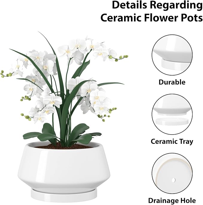 10 Inch White Ceramic Planter with Drainage Hole and Saucer | Ideal for Indoor and Outdoor Plants, Modern Home Decor, Round, Gloss White
