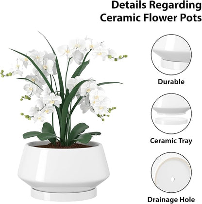 10 Inch White Ceramic Planter with Drainage Hole and Saucer | Ideal for Indoor and Outdoor Plants, Modern Home Decor, Round, Gloss White