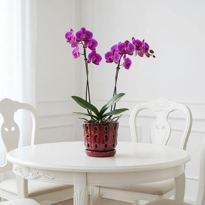 Orchid Pots 4.9Inch Ceramic Orchid Pots with Holes Set of 2 (Red)
