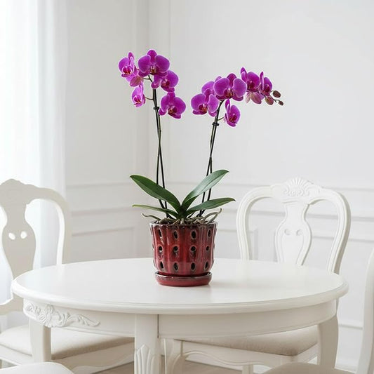 Orchid Pots 4.9Inch Ceramic Orchid Pots with Holes Set of 2 (Red)