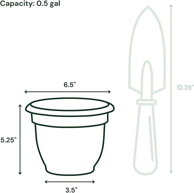 Bloem Ariana 6" Plastic Self-Watering Planter, Peppercorn, 4-Pack | Self-watering disk at the bottom of each pot that acts as a water wick and reservoir for optimal plant health