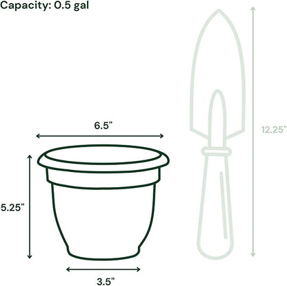 Bloem Ariana 6" Plastic Self-Watering Planter, Terra Cotta, 4-Pack | Self-watering disk at the bottom of each pot that acts as a water wick and reservoir for optimal plant health