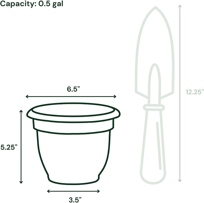 Bloem Ariana 6" Plastic Self-Watering Planter, Dusty Rose, 4-Pack | Self-watering disk at the bottom of each pot that acts as a water wick and reservoir for optimal plant health