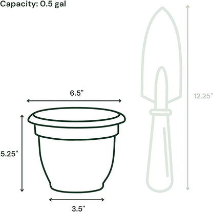 Bloem Ariana 6" Plastic Self-Watering Planter, Charcoal, 4-Pack | Self-watering disk at the bottom of each pot that acts as a water wick and reservoir for optimal plant health