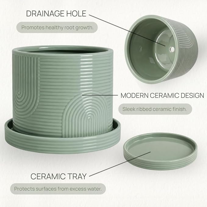 6 Inch Ceramic Plant Pot with Drainage Hole & Tray – Indoor Planter for Succulents, Herbs & Houseplants – Modern Ceramic Planter with Mesh Pad, Dibber & Widger – Sage Green