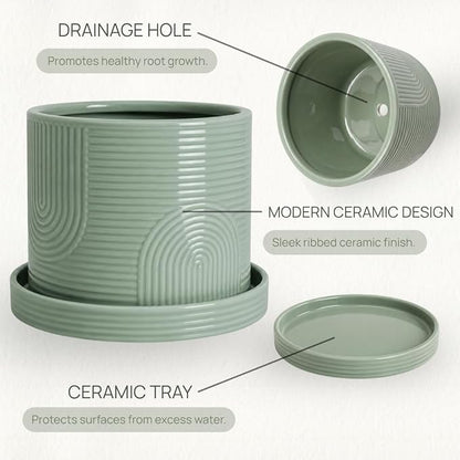 6 Inch Ceramic Plant Pot with Drainage Hole & Tray – Indoor Planter for Succulents, Herbs & Houseplants – Modern Ceramic Planter with Mesh Pad, Dibber & Widger – Sage Green
