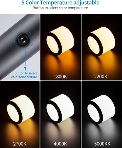 5CCT Low Voltage Bollard Pathway Lights, 4.5W 320LM 12-24V AC/DC | Aluminum Waterproof Outdoor Landscape Path Light, Glass Head 4FT Corded with IP65 Wire Nuts, 4Pack 1800/2200/2700/4000/5000K