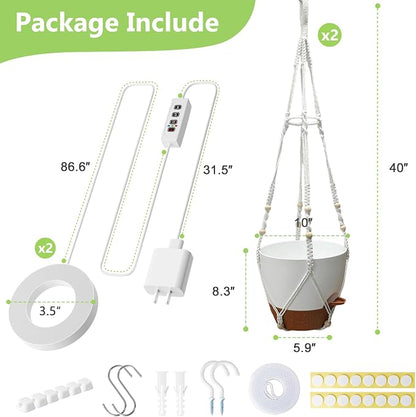2 Pack Self Watering Hanging Planters with Grow Light for Indoor Plants | 10 Brightness, 3 Light Modes, 3/9/12H Timer, Built-In Reservoir, Drainage Holes, 10 in Pots