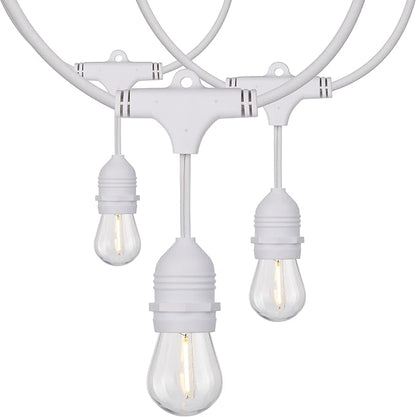 Satco S8038 LED Indoor/Outdoor String Lights, White, S14 Bulbs, 24 Feet (Pack of 1)