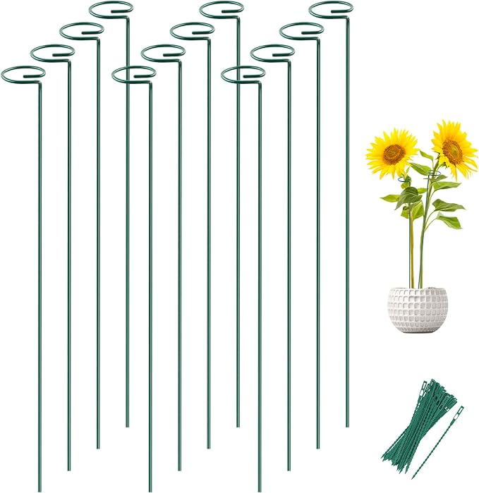 12 Pack 36 Inch Plant Support Stakes for Outdoor Plants and Indoor Flowers | Includes 24 Twist Ties, Sturdy metal, Rust-proof, Supports Hibiscus, Sunflower, Red Hot Poker, Hydrangea, Tomato, and more