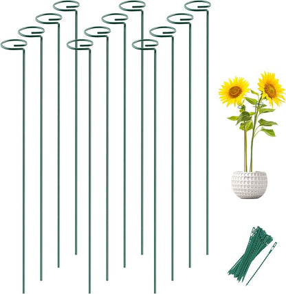 12 Pack 36 Inch Plant Support Stakes for Outdoor Plants and Indoor Flowers | Includes 24 Twist Ties, Sturdy metal, Rust-proof, Supports Hibiscus, Sunflower, Red Hot Poker, Hydrangea, Tomato, and more