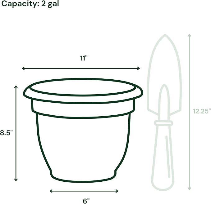 Bloem Ariana 10" Plastic Self-Watering Planter, Terra Cotta, 2-Pack | Self-watering disk at the bottom of each pot that acts as a water wick and reservoir for optimal plant health