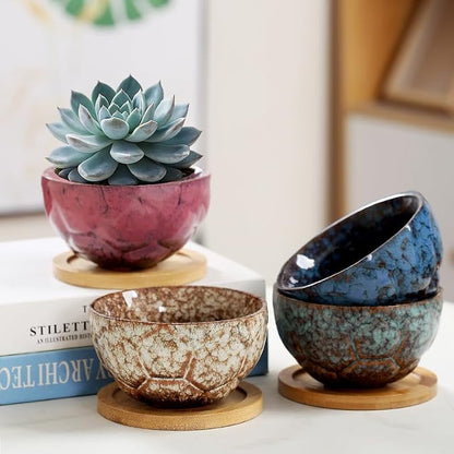 YYW Ceramic Succulent Planter, 4 Pack Cute Garden Pots with Drainage and Attached Saucer