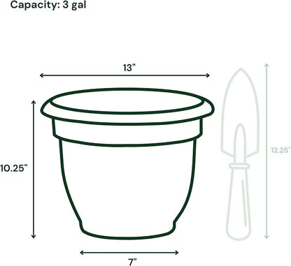 Bloem Ariana 12" Plastic Self-Watering Planter, Vanilla Bean, 2-Pack | Self-watering disk at the bottom of each pot that acts as a water wick and reservoir for optimal plant health