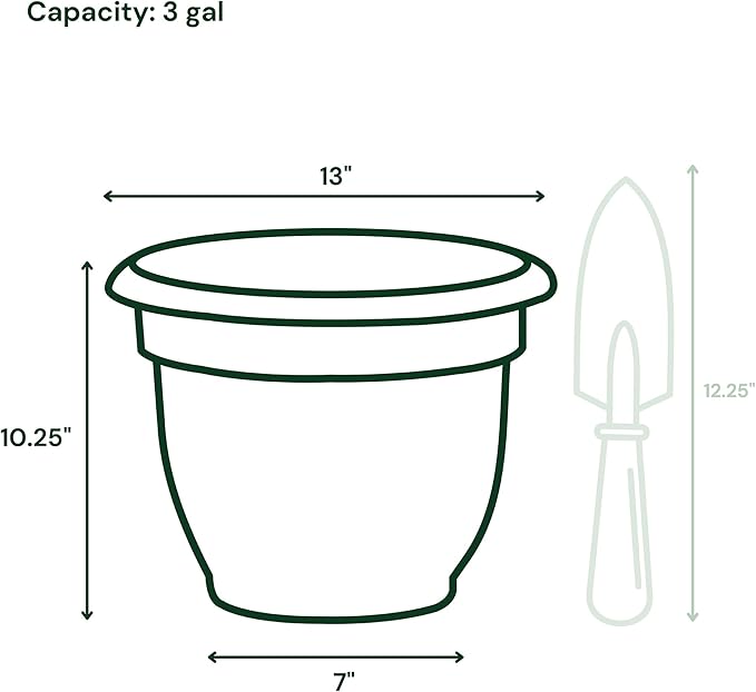 Bloem Ariana 12" Plastic Self-Watering Planter, Charleston Green, 2-Pack | Self-watering disk at the bottom of each pot that acts as a water wick and reservoir for optimal plant health