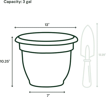 Bloem Ariana 12" Plastic Self-Watering Planter, Charleston Green, 2-Pack | Self-watering disk at the bottom of each pot that acts as a water wick and reservoir for optimal plant health