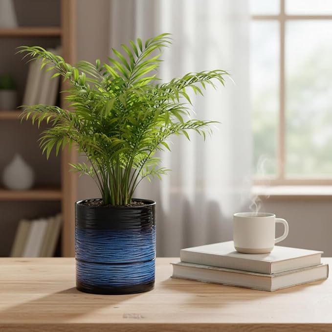 Nihow Ceramic Self Watering Plant Pot for Indoor Plants, 6 Inch,Blue | Planter with Cotton Wick, Drainage Hole & Water Storage Plus, Cylinder Round Flower Pot, For Succulent/Herbs/Violets
