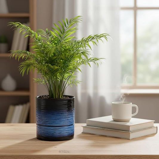 Nihow Ceramic Self Watering Plant Pot for Indoor Plants, 6 Inch,Blue | Planter with Cotton Wick, Drainage Hole & Water Storage Plus, Cylinder Round Flower Pot, For Succulent/Herbs/Violets