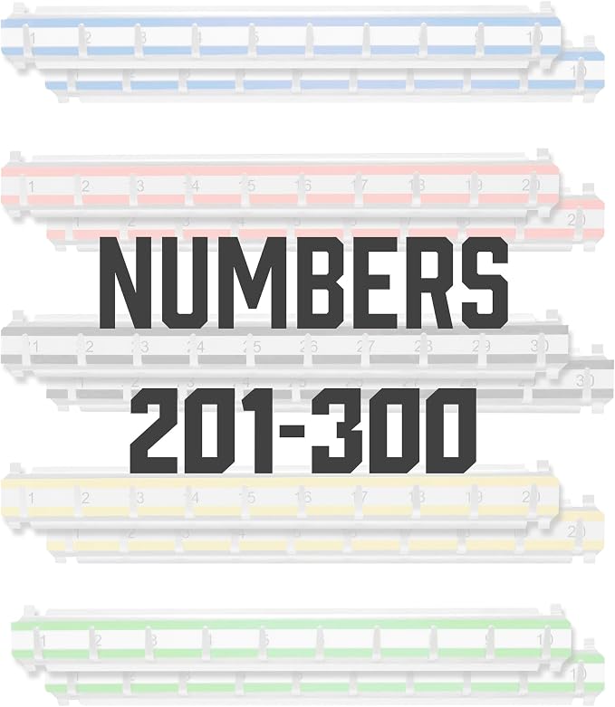 BARSKA Labeled Key Shelves with 201-300 Numbered Hooks for Key Cabinets