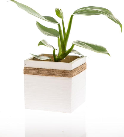 Jute Rope Wood Planter (7"x7") Whitewashed Wooden Boxes l Garden Centerpiece Display l Wedding Flowers Holder (Set of 2)