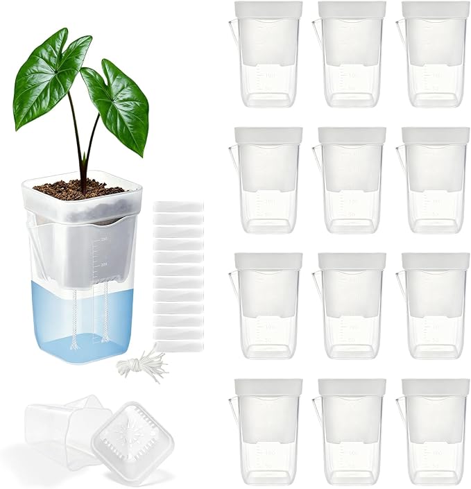 12 Pack 2.5" Self Watering Pots for Indoor Plants,Small Clear Plastic Planters with Water Level Indicator & Drainage Holes for Alocasia Propagation, African Violets, Seedlings, Cuttings and Succulents