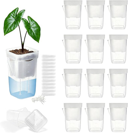 12 Pack 2.5" Self Watering Pots for Indoor Plants,Small Clear Plastic Planters with Water Level Indicator & Drainage Holes for Alocasia Propagation, African Violets, Seedlings, Cuttings and Succulents