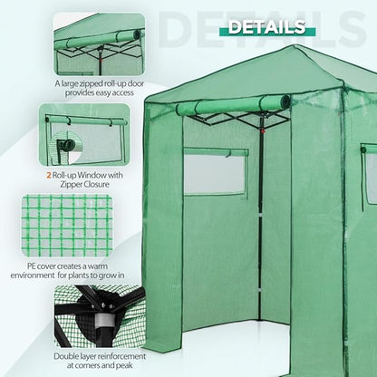 EAGLE PEAK 6x4 Portable Walk in Greenhouse, Pop Up Indoor Outdoor Greenhouse, Green House Kit with Zippered Roll-Up Doors and Windows, PE Cover, Clear/Green