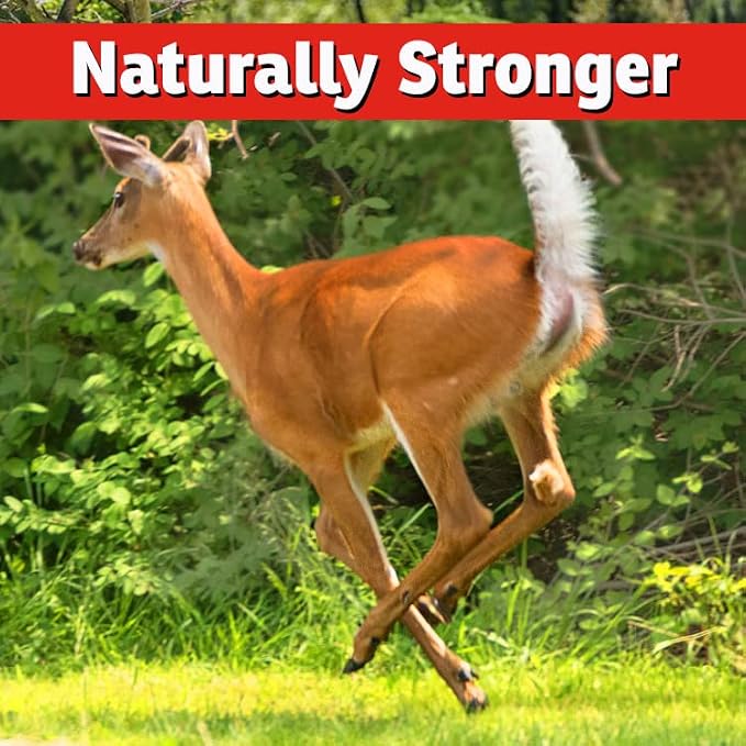 I Must Garden Deer Repellent Concentrate – 32oz: Mint Scent Deer Spray for Plants – Natural Ingredients - Makes 2.5 Gallons & Covers 10,000 sq ft