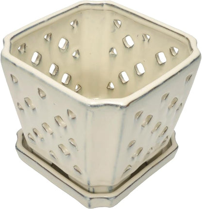 W&W Orchid Pot with Holes and Saucer for Repotting and Better Grow, Cream White, 7"