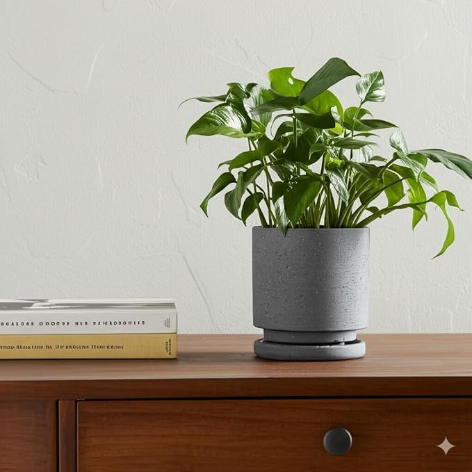 Nihow Ceramic Plant Pot Drainage Hole & Saucer for Indoor Plants, 5.7 Inch | Charcoal Gray, Cylinder Planters, Art Modem Design, Home Garden Patio Office