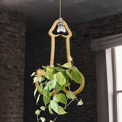 Funny Flower Pots Plant Hanger, Mr. Morningwood, Versatile Plant Hanger & Pot, Wood Penis Planter, Unique Plant Stand, Gift for Plant Lover, Perfect Home Decor and Planter Accessory for Indoor