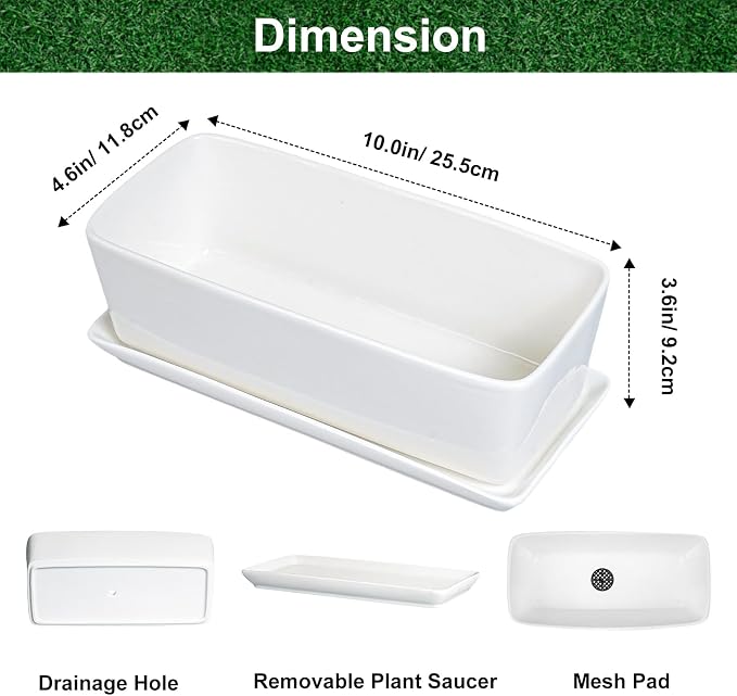 SQOWL Rectangular Planter - 10 Inch Ceramic Pots for Plants with Drainage Hole and Saucer, Succulent Pots for Indoor Outdoor, Cactus Herb Planter, Home Decor, Gifts for Plant Lovers, Glossy White