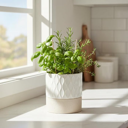 Nihow Self Watering Ceramic Plant Pot, 4.5 Inch, Cream White & Brown Net | Drainage Hole, Water Storage Plus, Indoor & Outdoor, Cylinder Flower Pot, For Herbs/Violets