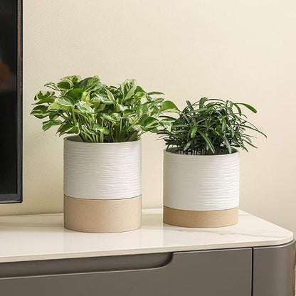 Nihow Ceramic Self Watering Plant Pot for Indoor Plants,6 Inch,White | Planter with Cotton Wick, Drainage Hole & Water Storage Plus, Cylinder Round Flower Pot, For Succulent/Herbs/Violets